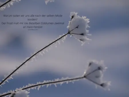 <a href="https://www.pictrs.com/cdangel-fotografie/2992297/sprueche-und-zitate?l=de" target="_blank" style="display:inline-block; margin-top:8px; padding:10px 20px; background-color:#E67E22; color:#ffffff; font-family:sans-serif; font-size:14px; font-weight:600; text-decoration:none; border-radius:3px; letter-spacing:0.5px;">🛒 Zum Shop</a>