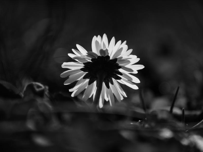 P1420281