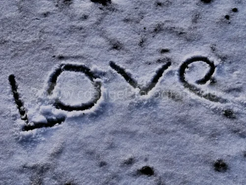 Neverending loveP1690990 2 (1)