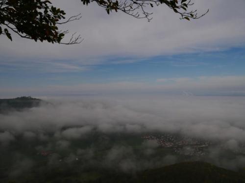 P1200570