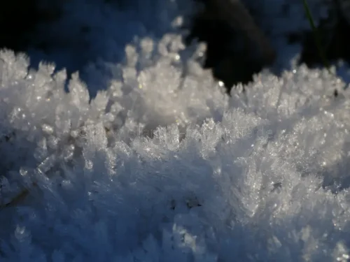 Ein Meer aus EiskristallenP1700058 2