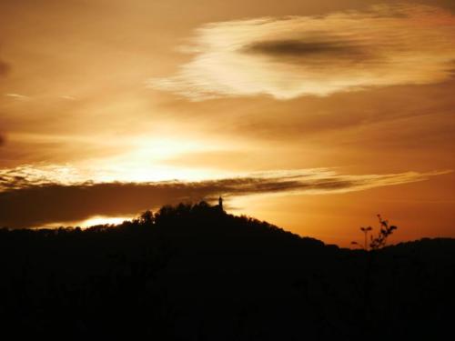 Teck im SonnenuntergangP1110834